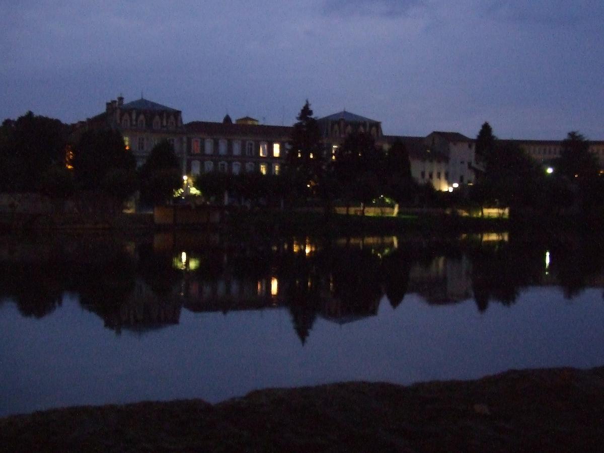 Maison Du Magnolia Confolens Bagian luar foto